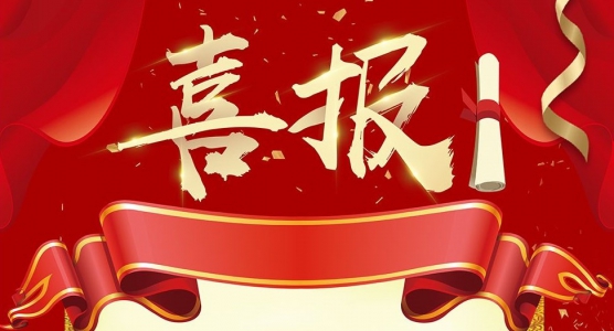 喜報！弘典咨詢重慶分公司榮獲旭輝集團(tuán)“2020年最佳合作伙伴”等榮譽(yù)稱號！”