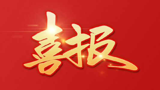 弘典咨詢在2020年工程造價咨詢企業(yè)經(jīng)濟鑒證類咨詢收入排名中，位于全國第65名